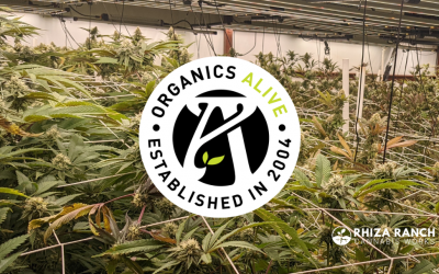 Organics Alive – The Best Fertilizer for Your Dispensary