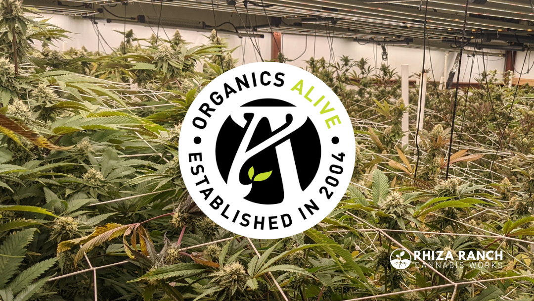 Organics Alive – The Best Fertilizer for Your Dispensary